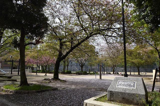 【公園】花乃井公園まで1122ｍ